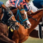 Betting Exchange – An Ultimate Guide for Horse Racing and Football Betting